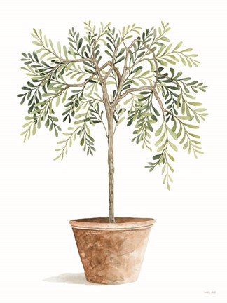 Framed Topiary I Print