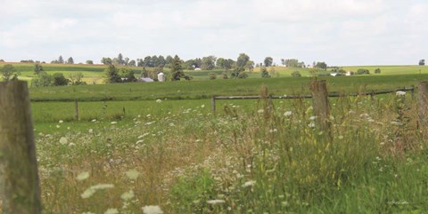 Framed Along the Country Road Print