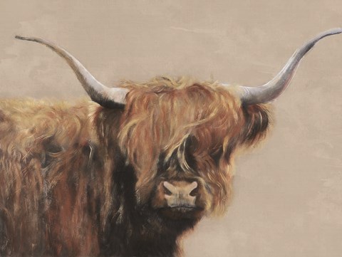 Framed Highland Cow Print