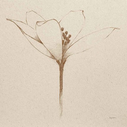 Framed Modern Vintage Floral VI Print