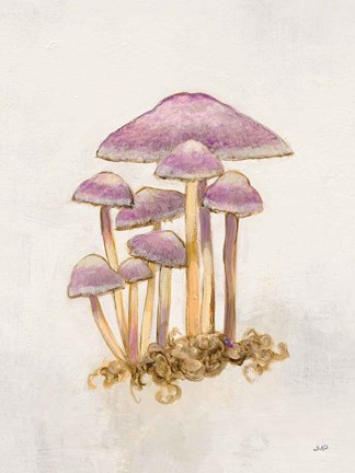 Framed Woodland Mushroom III Print