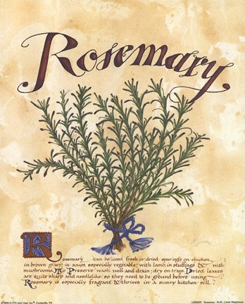 Framed Rosemary Print