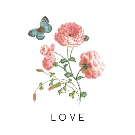 Framed Victorian Garden Bright VII Print