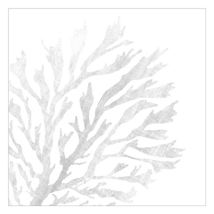Framed White Seaweed 2 Print