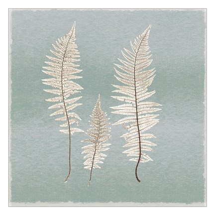 Framed Spring Eden Fern Print
