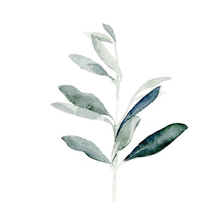 Framed Summer Olive Branch I Print