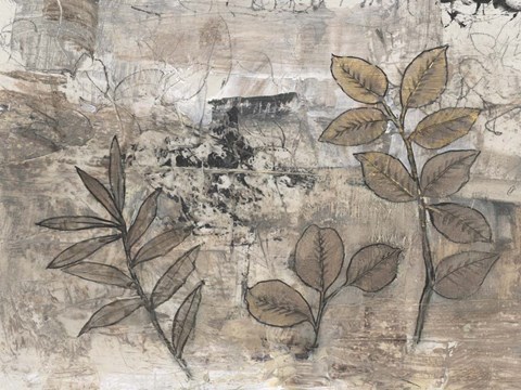 Framed Leaf Motif II Print