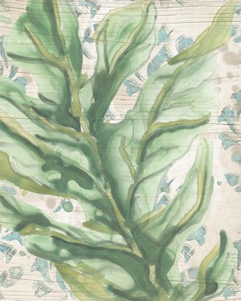 Framed Palms &amp; Patterns III Print