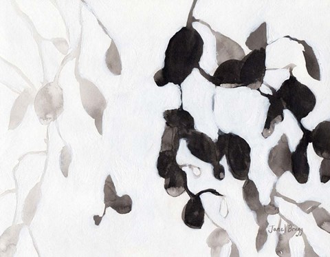 Framed Leaves in Black and White Print