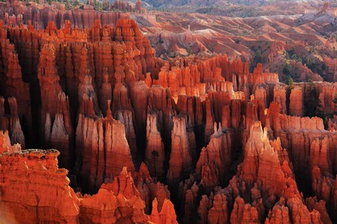 Framed Red City Print