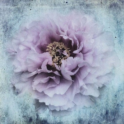 Framed Season I love Print