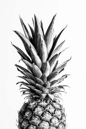 Framed Pineapple Black a White 1 Print