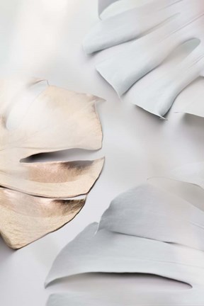 Framed Monstera Mix 2 Print