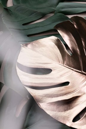 Framed Monstera Mix 3 Print