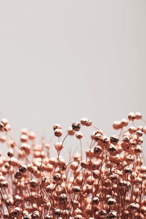 Framed Dried Grass Copper 4 Print