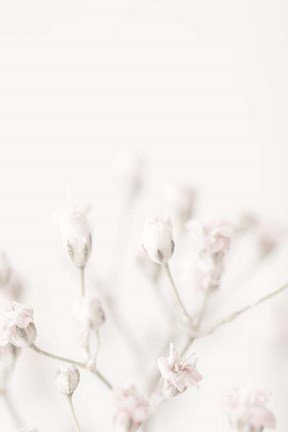 Framed Pink Small Flowers Print