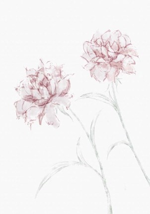 Framed Peony 3 Print