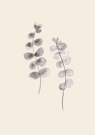 Framed Eucalyptus Twigs Print