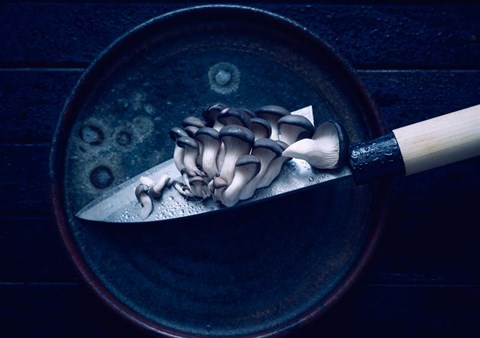 Framed On the Blade Print