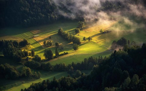 Framed Light and Shadow Print