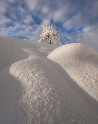 Framed Curves of a Winter Landscape Print