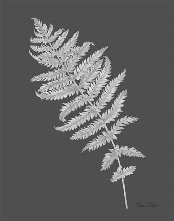 Framed Neutral Fern on grey I Print