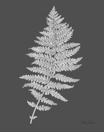 Framed Neutral Fern on grey II Print