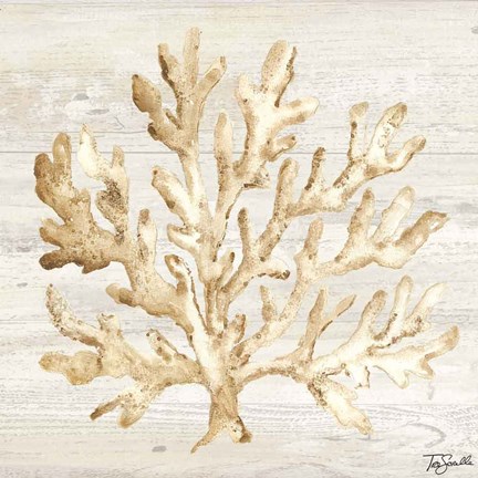 Framed Calm Shores V Print