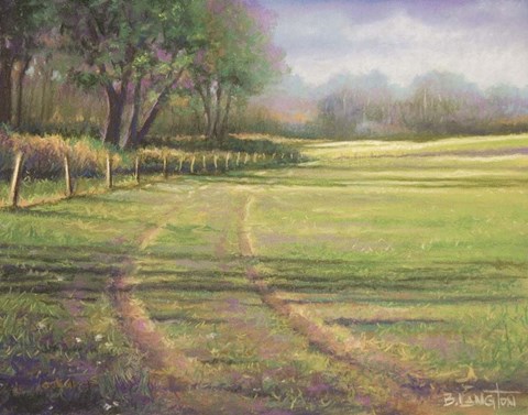 Framed Mid Evening Shadows Print