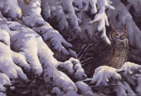 Framed Among the Pines - Great Horned Owl Print