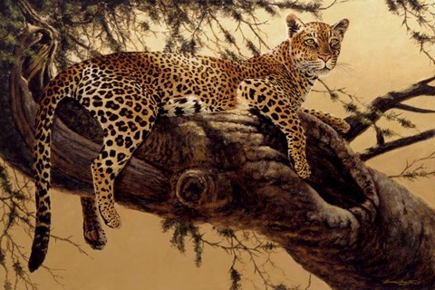 Framed Morning Retreat-Leopard Print
