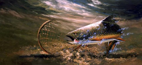 Framed Nothing But Net - Brook Trout Print