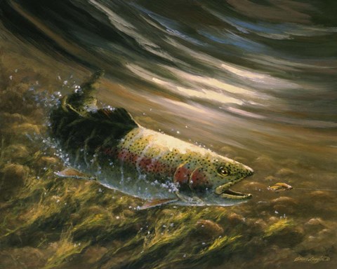 Framed Chase - Rainbow Trout Print