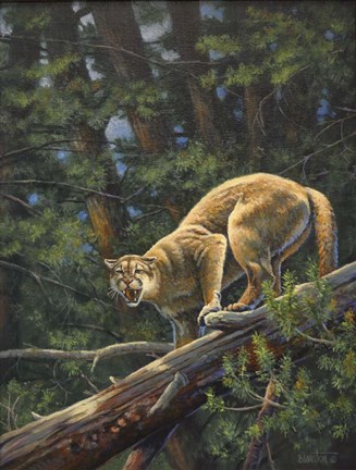 Framed Edge of Forest Print