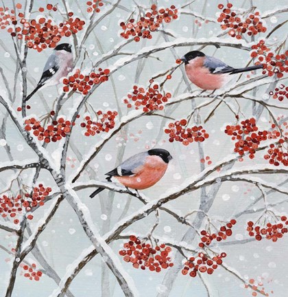Framed Bullfinches and Berries Print