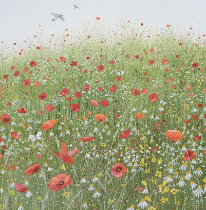 Framed Poppy Field Print