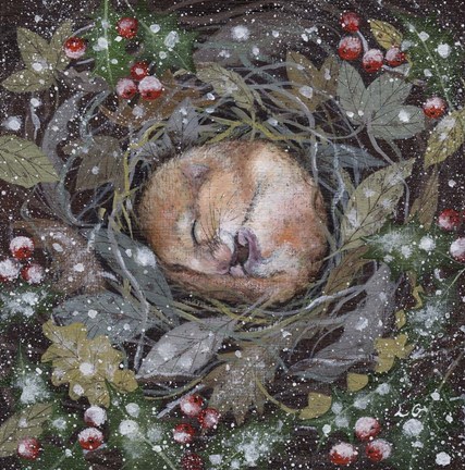 Framed Sleepy Dormouse Print