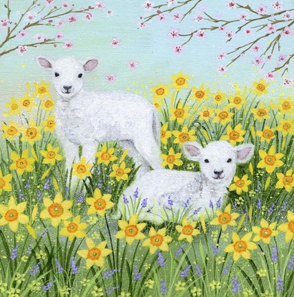 Framed Spring lambs Print