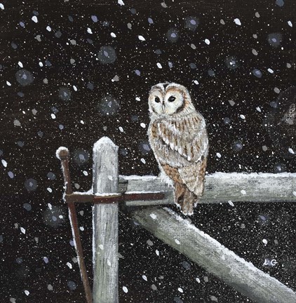Framed Tawny Owl on Gate Print