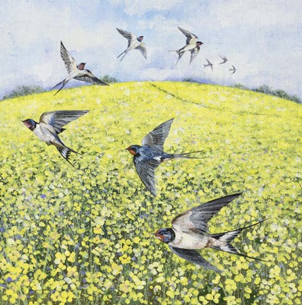 Framed First Swallows Print