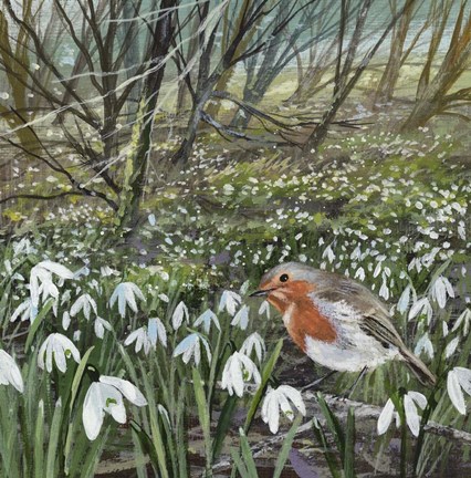 Framed Snowdrops and Robin Print