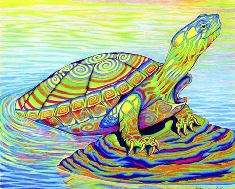 Framed Painted Turtle Print