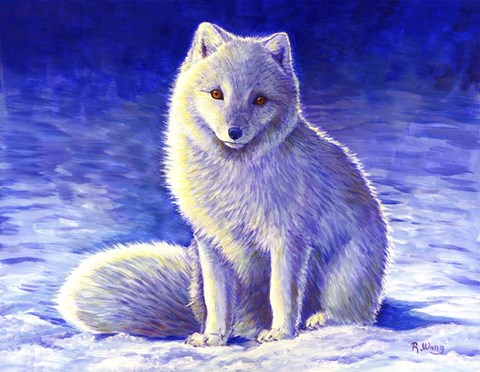 Framed Peaceful Winter Arctic Fox Print