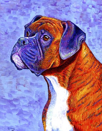 Framed Brindle Boxer Dog Print