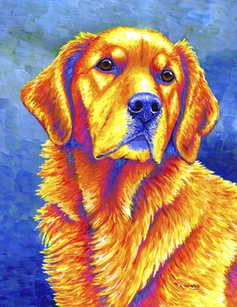 Framed Golden Retriever Print