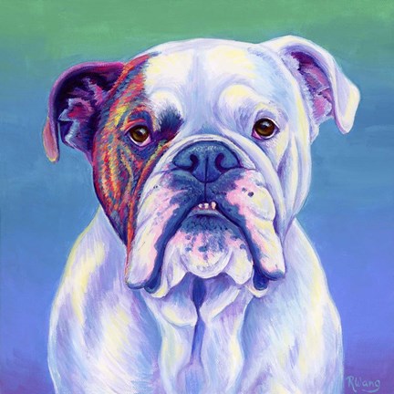 Framed Cute English Bulldog Print