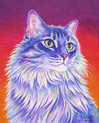 Framed Longhaired Purple Tabby Cat Print