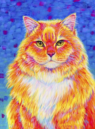 Framed Orange Buff Tabby Cat Print