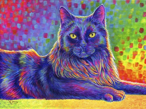 Framed Psychedelic Rainbow Black Cat Print