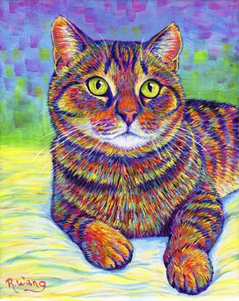 Framed Rainbow Brown Tabby Print